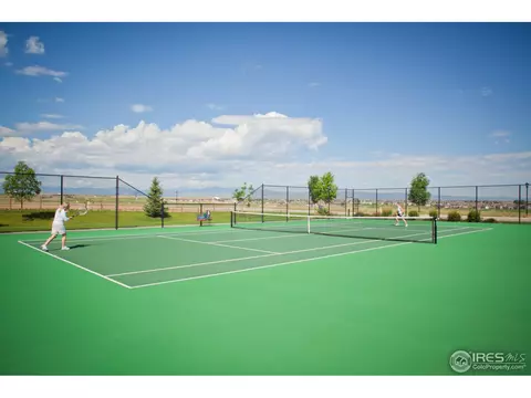 6011 Last Pointe Dr, Windsor, CO 80550 photo 9