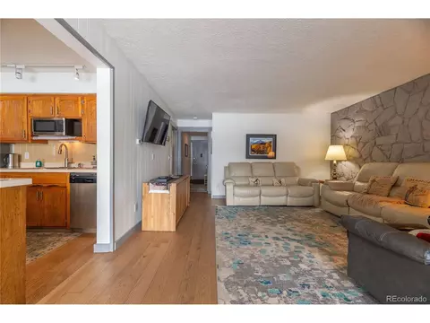 176 E La Bonte St #A-104, Dillon, CO 80435 photo 5