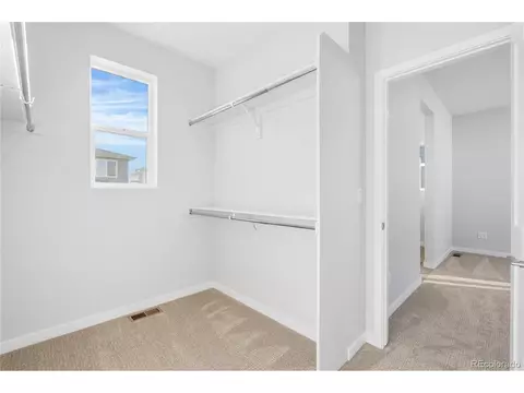 Other - 12124 Octave Ave, Lone Tree, CO 80124 photo 4 of 7