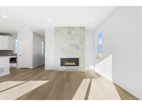 Living - 12124 Octave Ave, Lone Tree, CO 80124 photo 3 of 4