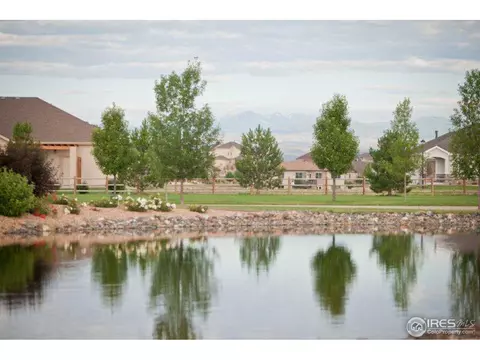 7973 Cherry Blossom Dr, Windsor, CO 80550 photo 2