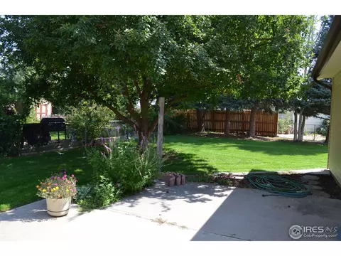 1107 Walnut St, Windsor, CO 80550 photo 2