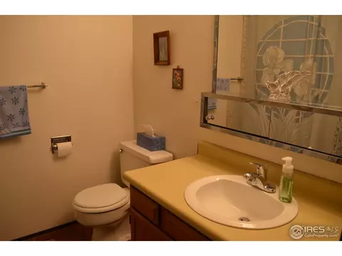 1107 Walnut St, Windsor, CO 80550 photo 11