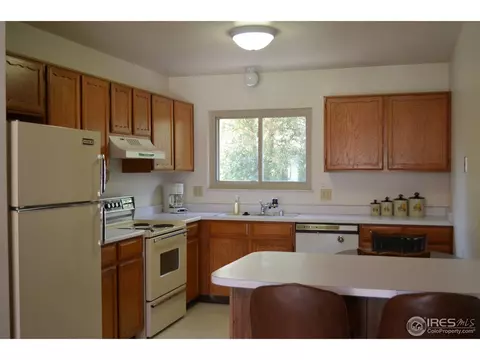 1107 Walnut St, Windsor, CO 80550 photo 5