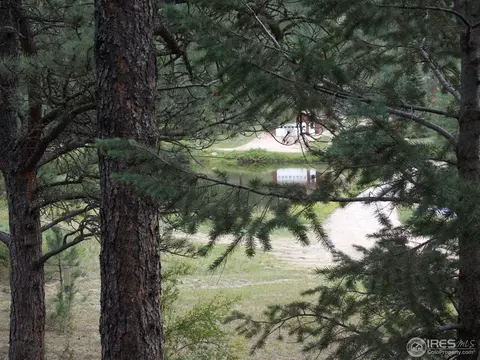 429 Cedar Dr, Lyons, CO 80540 photo 5