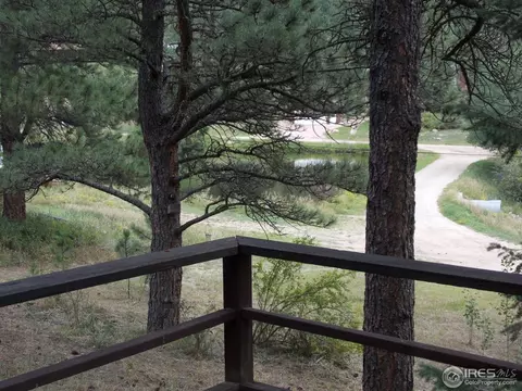 429 Cedar Dr, Lyons, CO 80540 photo 9