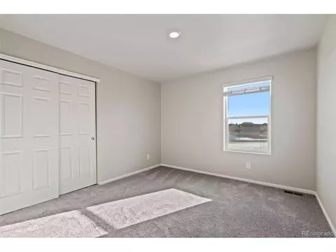 1677 Gratton Ct, Windsor, CO 80550 photo 21