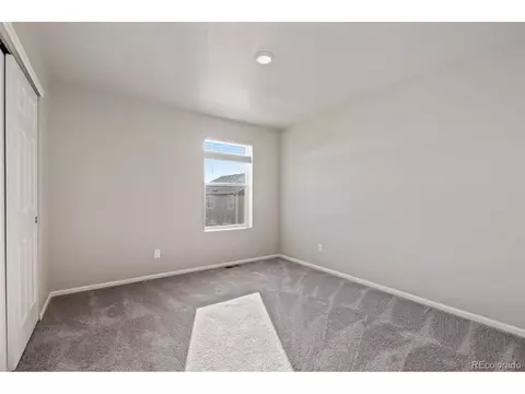 1677 Gratton Ct, Windsor, CO 80550 photo 22