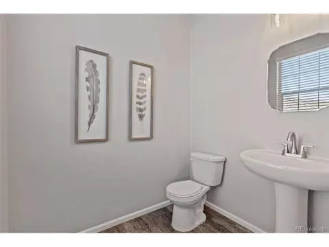 1677 Gratton Ct, Windsor, CO 80550 photo 11