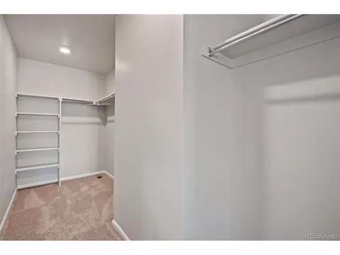 1677 Gratton Ct, Windsor, CO 80550 photo 16