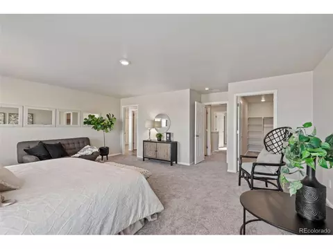 1677 Gratton Ct, Windsor, CO 80550 photo 15