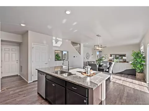 1677 Gratton Ct, Windsor, CO 80550 photo 9