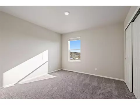 1677 Gratton Ct, Windsor, CO 80550 photo 20