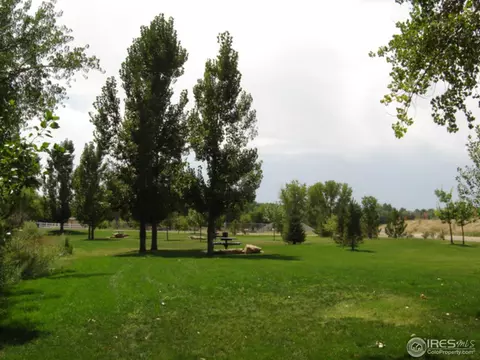 10091 Devonshire St, Longmont, CO 80504 photo 23