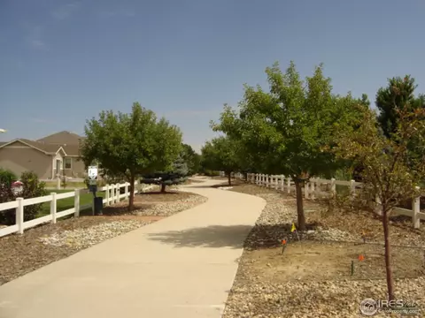 10091 Devonshire St, Longmont, CO 80504 photo 24
