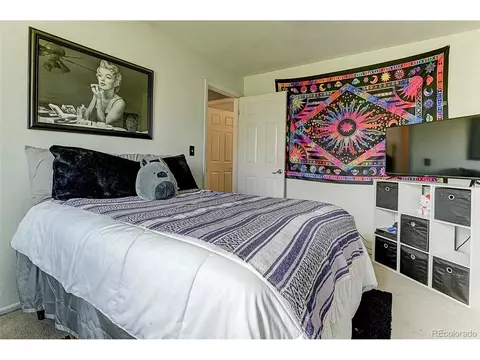 3534 E 117th Dr, Thornton, CO 80233 photo 16
