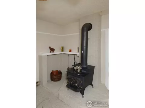 9 Locust St, Windsor, CO 80550 photo 4