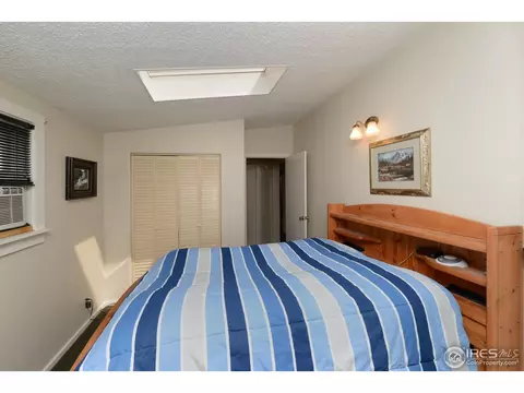 9 Locust St, Windsor, CO 80550 photo 11