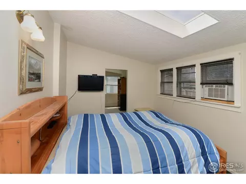 9 Locust St, Windsor, CO 80550 photo 10