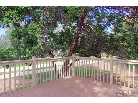 807 Rees Ct, Longmont, CO 80504 photo 20