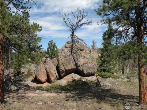 660 Tiny Bob Rd, Red Feather Lakes, CO 80545 photo 8