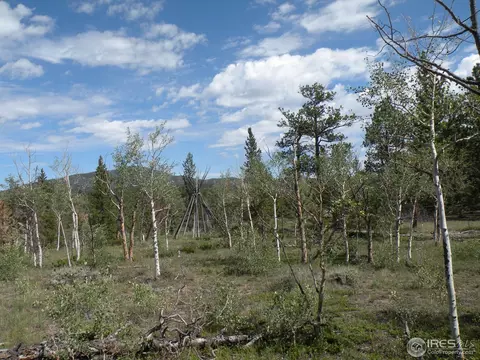 660 Tiny Bob Rd, Red Feather Lakes, CO 80545 photo 4