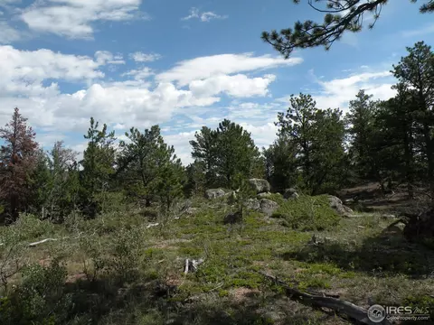 660 Tiny Bob Rd, Red Feather Lakes, CO 80545 photo 3