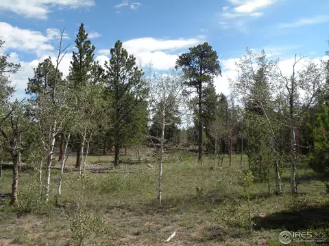 660 Tiny Bob Rd, Red Feather Lakes, CO 80545 photo 5