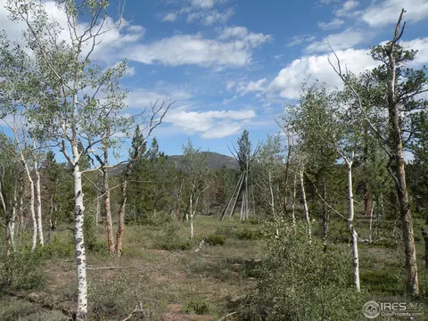 660 Tiny Bob Rd, Red Feather Lakes, CO 80545 photo 1