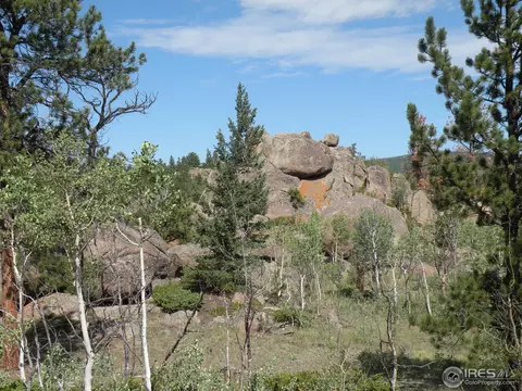 660 Tiny Bob Rd, Red Feather Lakes, CO 80545 photo 7