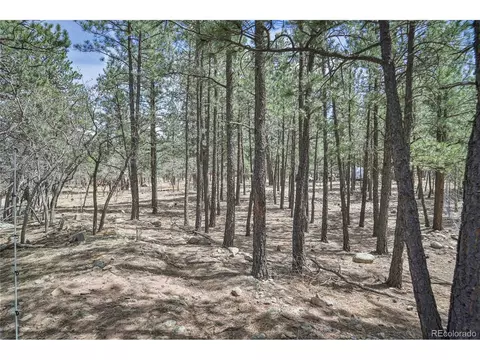 Undisclosed, Weston, CO 81091 photo 19