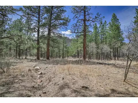 Undisclosed, Weston, CO 81091 photo 20