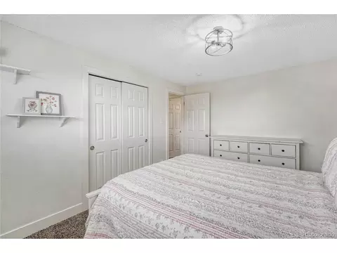 13286 Rigel Dr, Lone Tree, CO 80124 photo 46