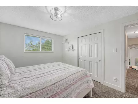 13286 Rigel Dr, Lone Tree, CO 80124 photo 27