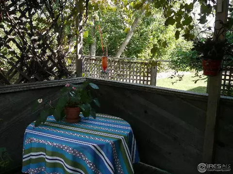 420 Stickney St, Lyons, CO 80540 photo 17