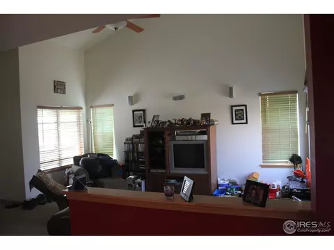 6115 Snowberry Ave, Firestone, CO 80504 photo 6