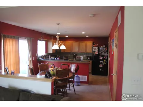 6115 Snowberry Ave, Firestone, CO 80504 photo 9