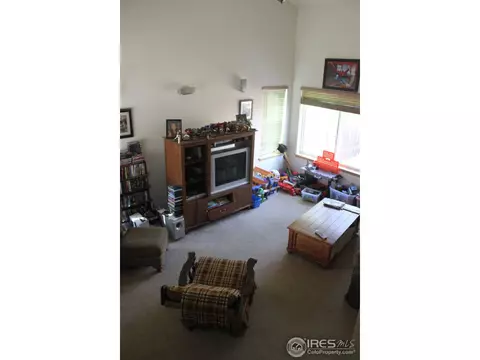 6115 Snowberry Ave, Firestone, CO 80504 photo 7