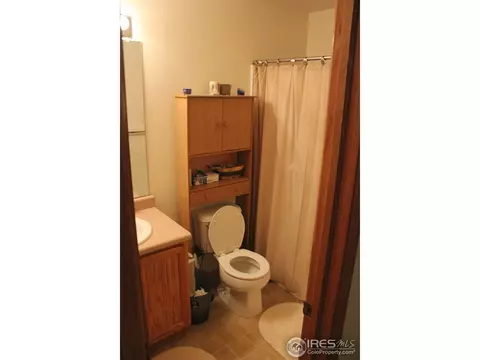 6115 Snowberry Ave, Firestone, CO 80504 photo 12