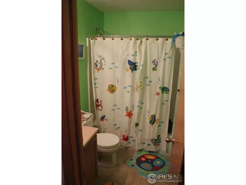 6115 Snowberry Ave, Firestone, CO 80504 photo 14