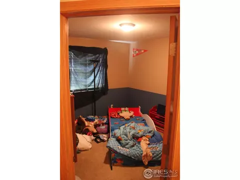 6115 Snowberry Ave, Firestone, CO 80504 photo 16