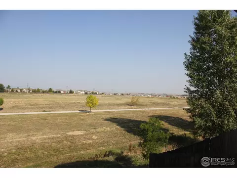 6115 Snowberry Ave, Firestone, CO 80504 photo 2