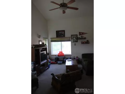 6115 Snowberry Ave, Firestone, CO 80504 photo 8