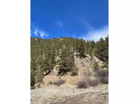 tbd Holmes Gulch Way, Pine, CO 80470 photo 4