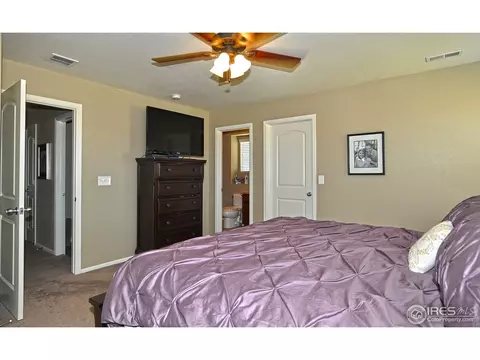 548 Edenbridge Dr, Windsor, CO 80550 photo 15
