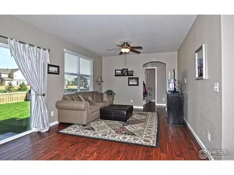 548 Edenbridge Dr, Windsor, CO 80550 photo 13