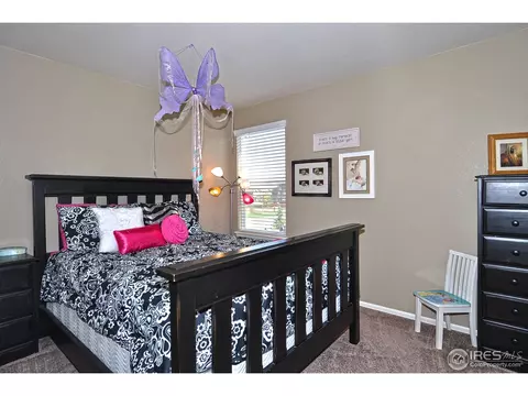 548 Edenbridge Dr, Windsor, CO 80550 photo 17