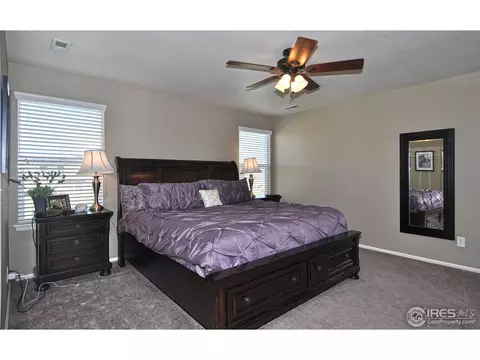 548 Edenbridge Dr, Windsor, CO 80550 photo 14
