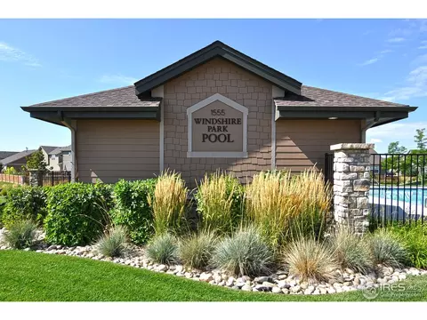548 Edenbridge Dr, Windsor, CO 80550 photo 22
