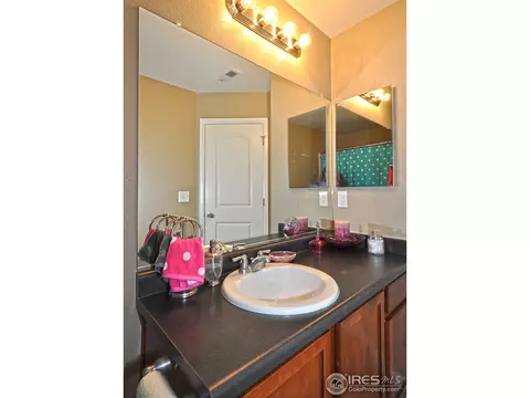 548 Edenbridge Dr, Windsor, CO 80550 photo 19